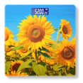 thumbnail image 1 of High Precision Body Weight Scale Smart Bathroom Scales with Large LCD Display(400lbs),Decorative for Bedroom-Sunflower Field With Vibrant Yellow Flowers Under Clear Blue Sky, 1 of 4