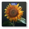 thumbnail image 1 of Bathroom Scale, Highly Accurate Digital Body Scale,Precisely Measures Weight up to 400 lbs-Sunflower With Leaves On Black Background, 1 of 4