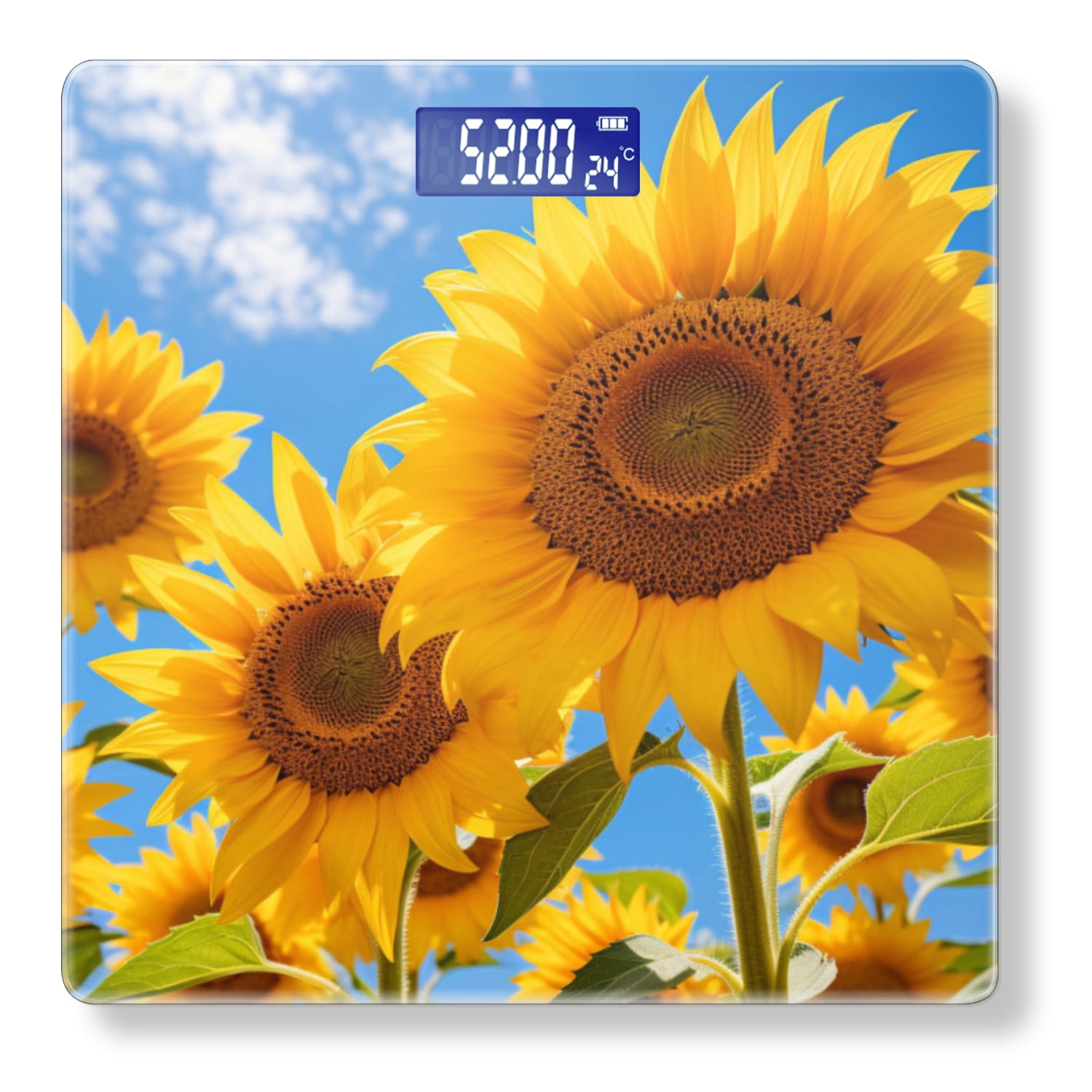 High Precision Body Weight Scale Smart Bathroom Scales with Large LCD Display(400lbs),Decorative for Bedroom-Sunflowers In Full Bloom On Blue Sky Background