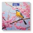 thumbnail image 1 of High Precision Body Weight Scale Smart Bathroom Scales with Large LCD Display(400lbs),Decorative for Bedroom-Yellow And Blue Bird Sitting On Cherry Blossom Tree, 1 of 4