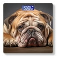 thumbnail image 1 of High Precision Body Weight Scale Smart Bathroom Scales with Large LCD Display(400lbs),Decorative for Bedroom-Bulldog Lying Down With Sad Expression, 1 of 4