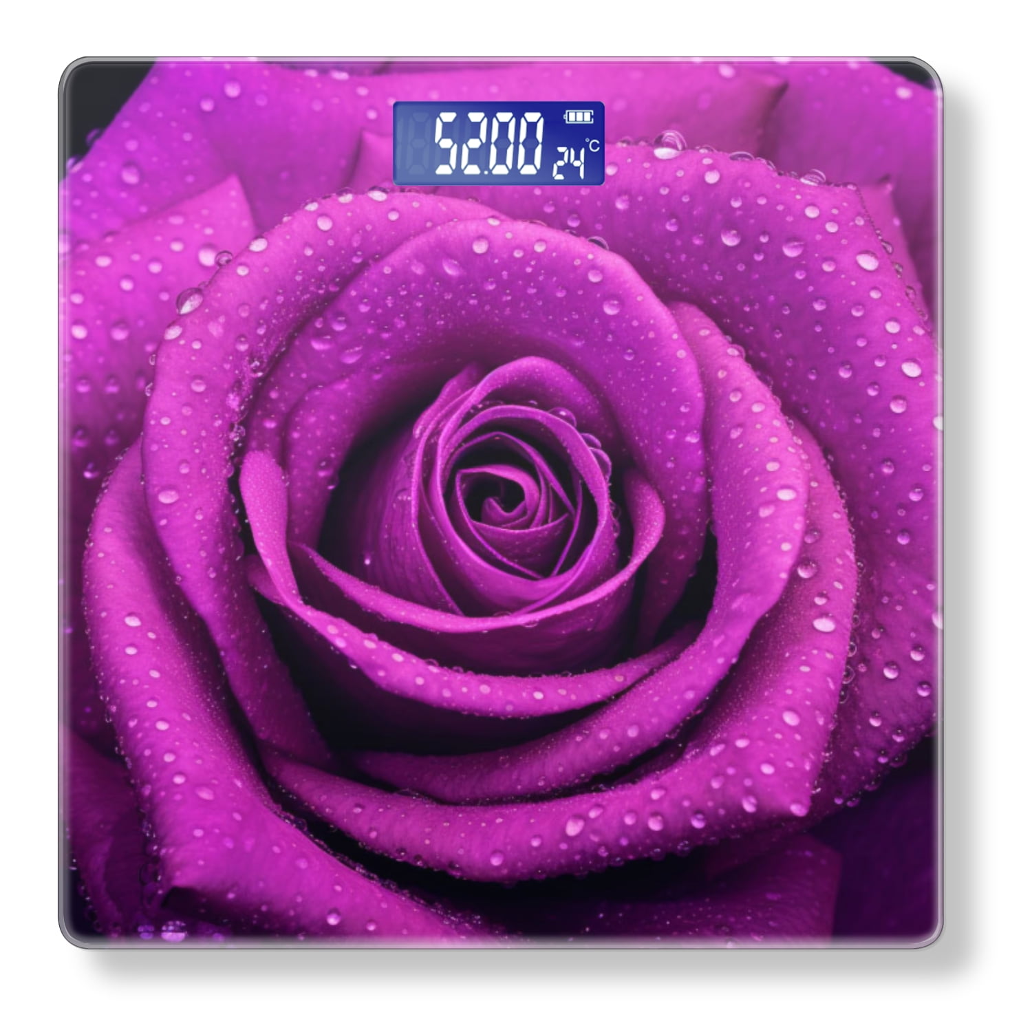 High Precision Body Weight Scale Smart Bathroom Scales with Large LCD Display(400lbs),Decorative for Bedroom-Purple Rose With Water Droplets