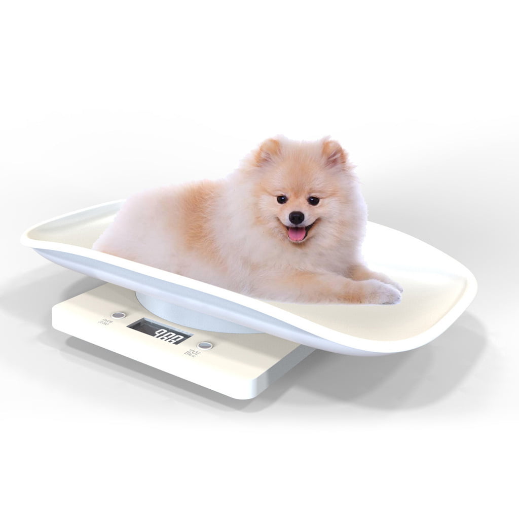 REDMON Precision Digital Small Pet Scale, White 