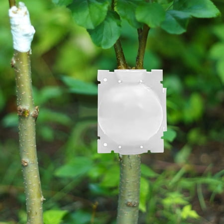 High Pressure Propagation Ball Breeding Case for Rooting Growing Breeding Large size White