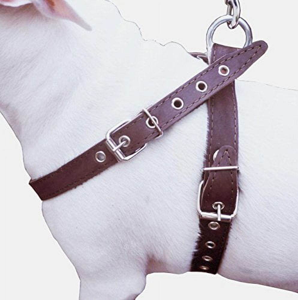 High Quality Brown Leather Dog Harness Medium. 21"-25" Chest, 1" Wide Straps