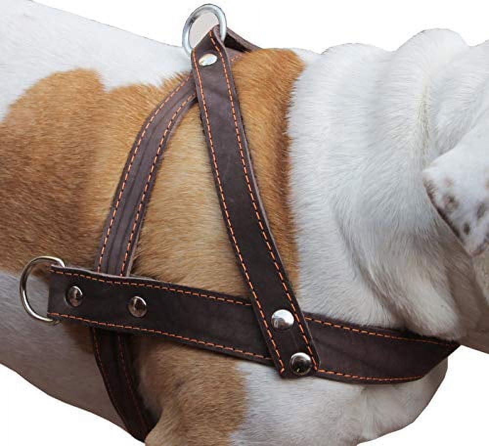 High Quality Brown Leather Dog Pulling Walking Harness Large. 31"-35" Chest, 1.5" Wide Straps
