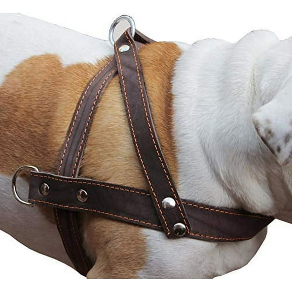 High Quality Brown Leather Dog Pulling Walking Harness Large. 31"-35" Chest, 1.5" Wide Straps
