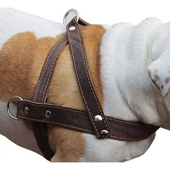 High Quality Brown Leather Dog Pulling Walking Harness Large. 31"-35" Chest, 1.5" Wide Straps
