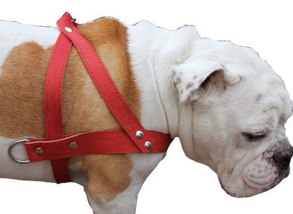 High Quality Leather Dog Pulling Walking Harness . 31"-35" Chest, 1.5" Wide Straps. Pitt Bull, Rottweiler
