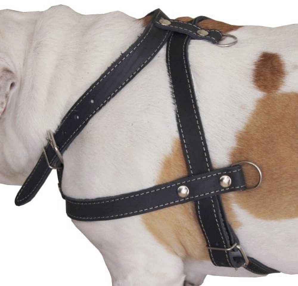High Quality Leather Dog Pulling Walking Harness . 33"-37" Chest, 1" Wide Straps. Pitt Bull, Boxer