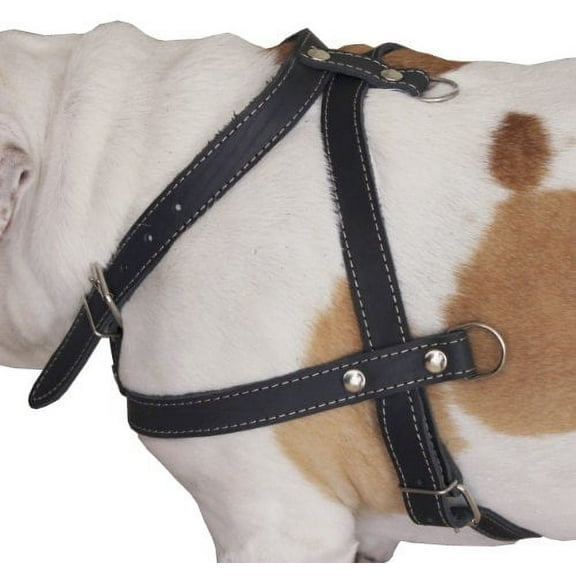 High Quality Leather Dog Pulling Walking Harness . 33"-37" Chest, 1" Wide Straps. Pitt Bull, Boxer