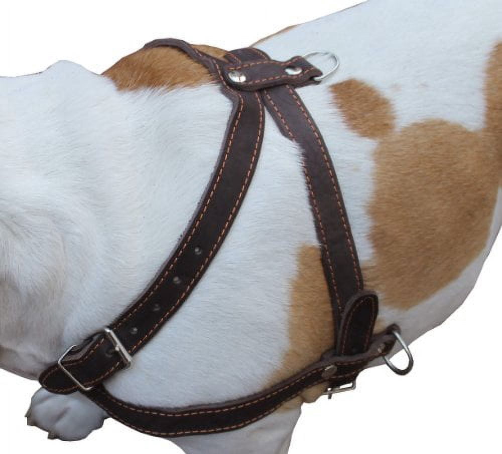 High Quality Leather Dog Pulling Walking Harness . 33"-37" Chest, 1" Wide Straps. Pitt Bull, Rottweiler