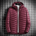 thumbnail image 1 of High Quality Men‘s Fashion Business Casual British Style Gentleman Korean Version Hooded Down Jacket White Duck Down Jacket, 1 of 7
