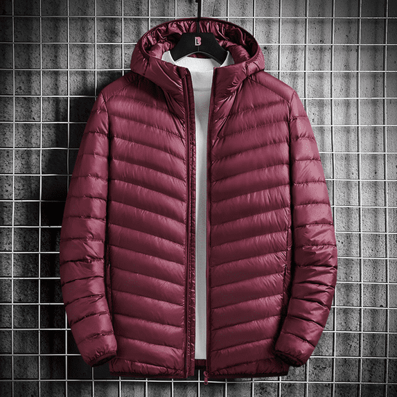 High Quality Men‘s Fashion Business Casual British Style Gentleman Korean Version Hooded Down Jacket White Duck Down Jacket