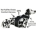 thumbnail image 1 of High Quality Mini GSM GPS Pet Collar Tracker Realtime Position Spotter Size:M, 1 of 5