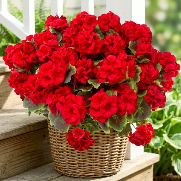 High Quality Red Geranium Silk Flowers 16 Pcs For Home Garden Decoration