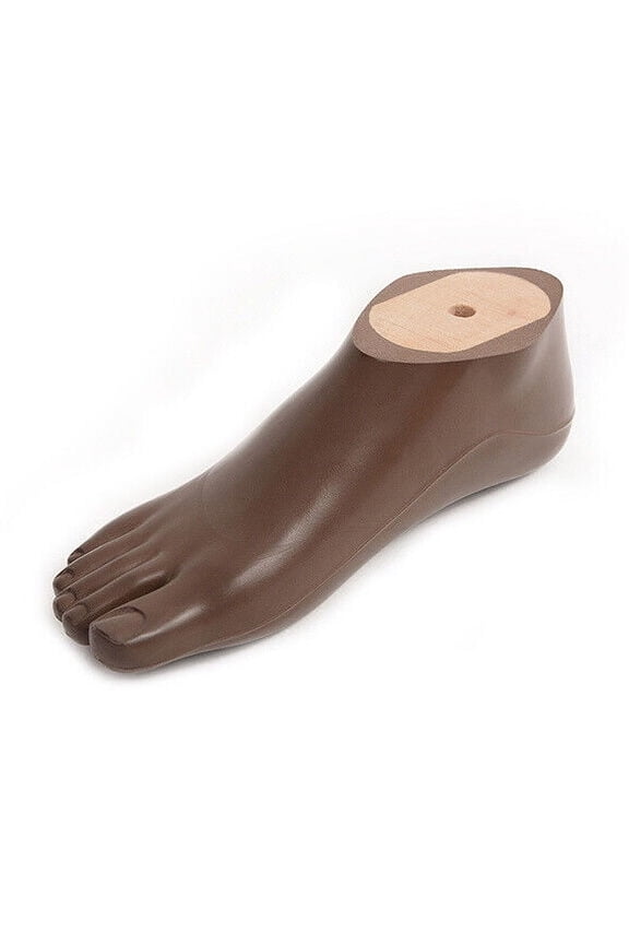 High Quality SACH Foot Prosthetic foot size12cm-30cm Beige Brown Children Adults artificial limb sach foot leg prosthesis Prosthetic Leg Parts Polyurethane SACH Foot With Adapter Prosthetic Foot