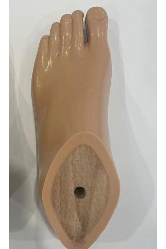 High Quality SACH Foot Prosthetic foot size12cm-30cm Beige Brown Children Adults artificial limb sach foot leg prosthesis Prosthetic Leg Parts Polyurethane SACH Foot With Adapter Prosthetic Foot