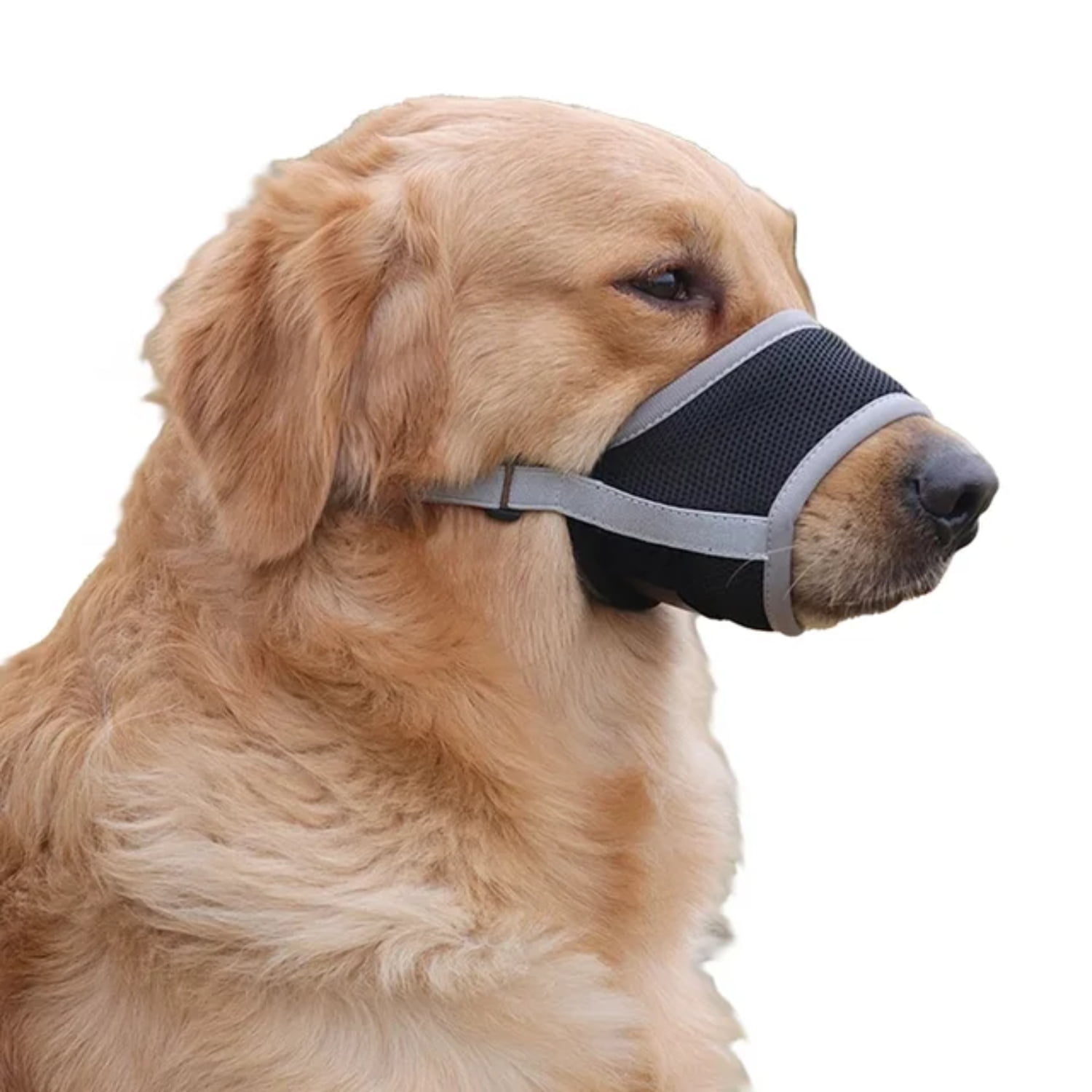 HighQuality Soft and Comfortable Adjustable Dog Muzzle Essential Tool for StressFree