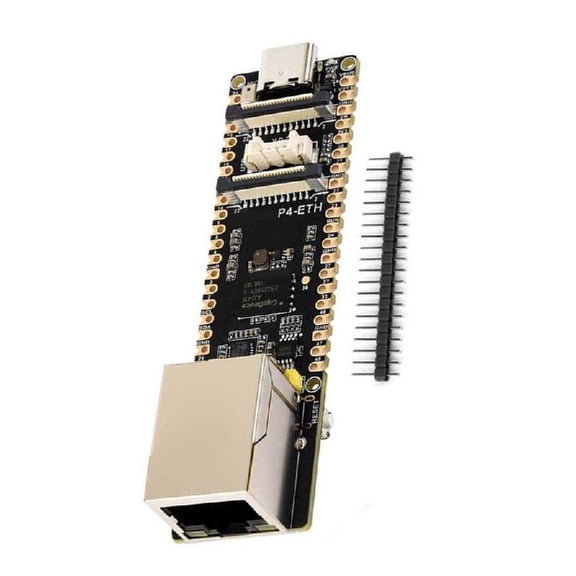 High RISC V Development Board With 10.1 And