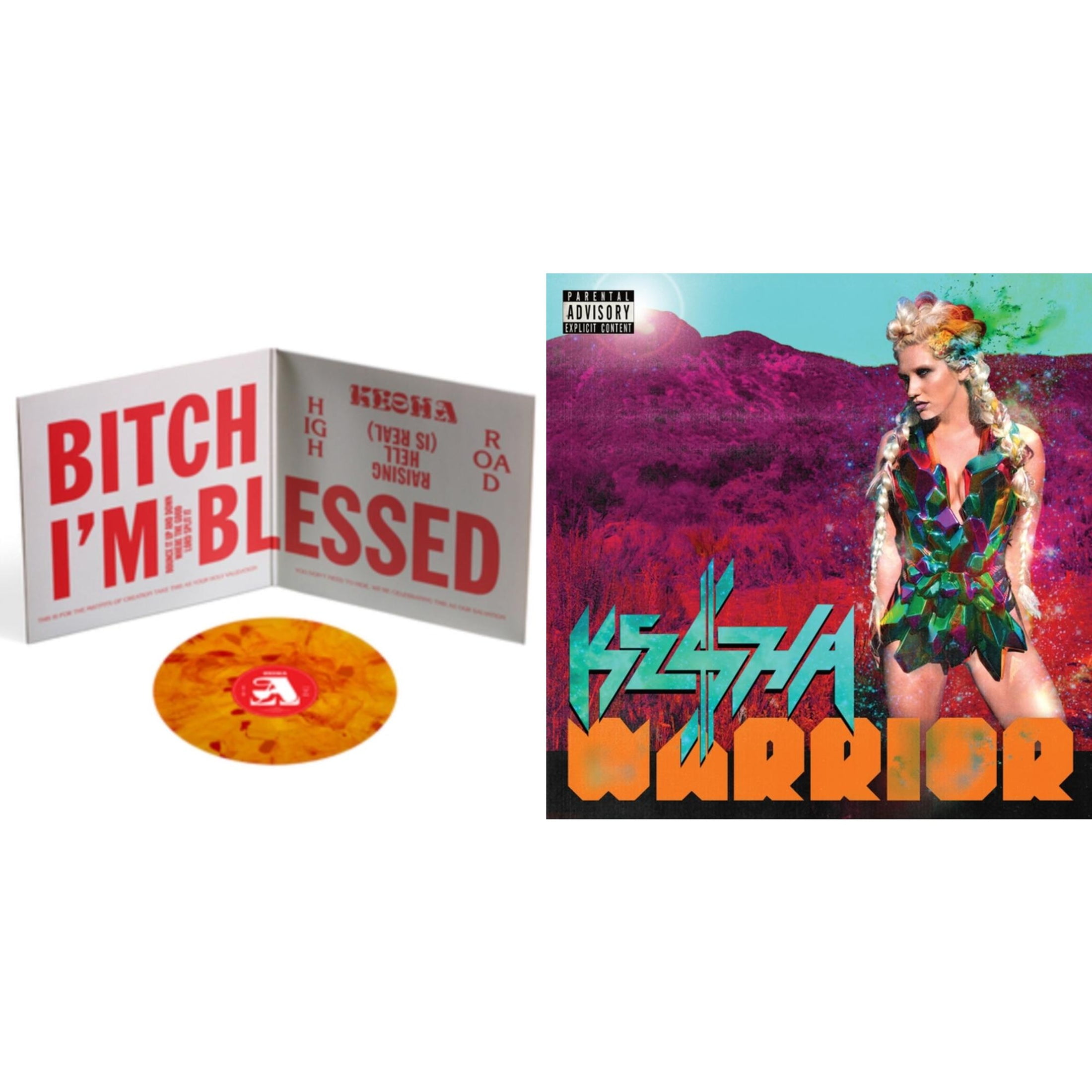 Kesha 激レア Warrior アナログ レコード LP VINYL Kesha 激レア Warrior アナログ レコード LP VINYL Kesha 激レア