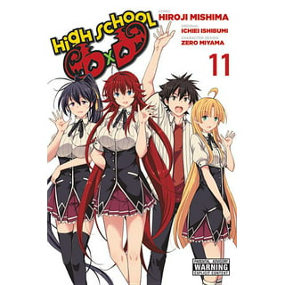 High School DxD Light Novel 1-25 Volume Set [Used]