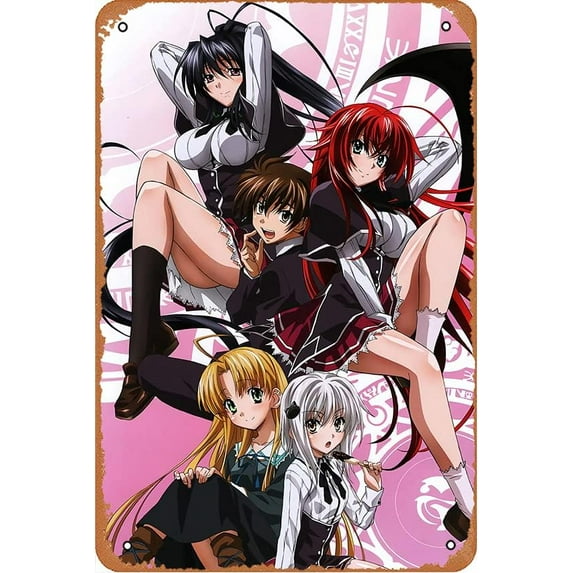 High School DxD Posters Rias Gremory All posters Anime Posters Vintage Metal Tin Sign Wall Decor for Bars, Restaurants, Cafes, Pubs 12 x 8 Inch Art Print Retro Poster