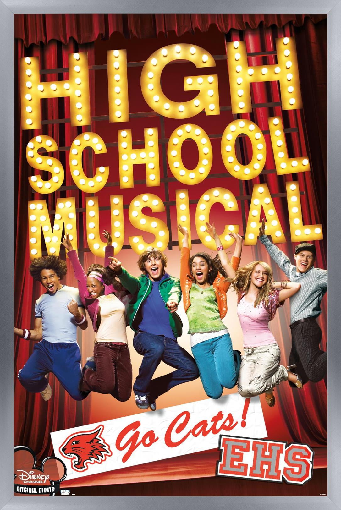 High School Musical - Go Cats! Wall Poster, 14.725" x 22.375" Framed