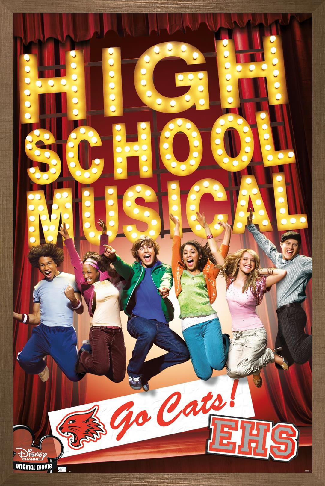 High School Musical - Go Cats! Wall Poster, 14.725" x 22.375" Framed