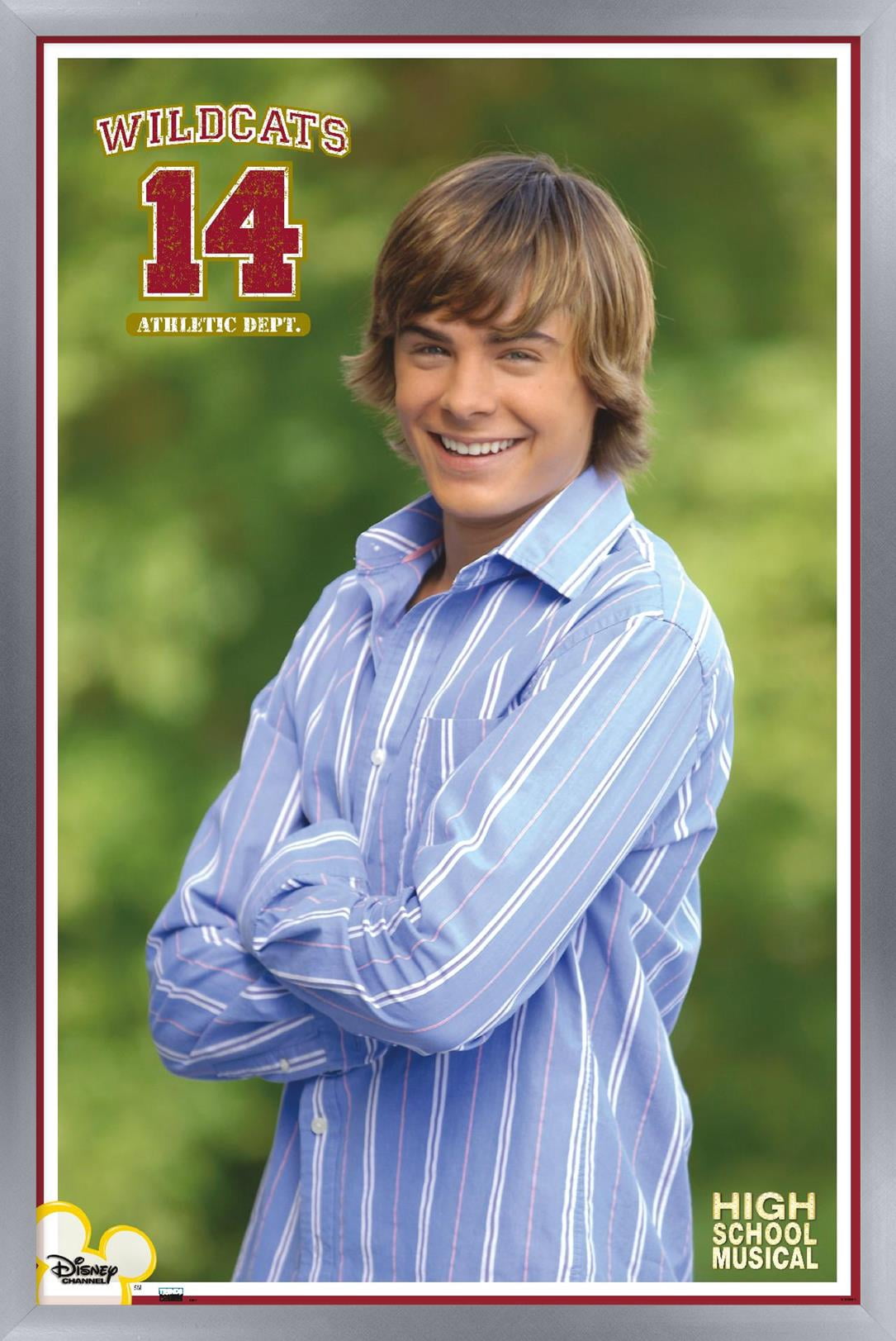 High School Musical - Troy Wall Poster, 14.725" x 22.375" Framed