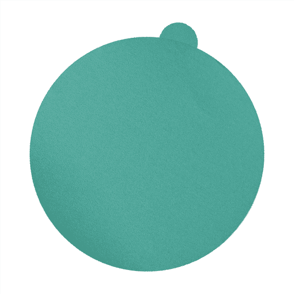 High Teck Products DAP8080 (50 pcs per box) 8" GREEN PSA Sanding Disc 80 Grit Aluminum