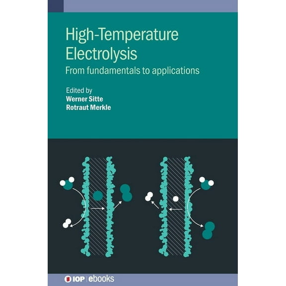 High-Temperature Electrolysis: From fundamentals to applications, (Hardcover)