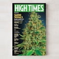 thumbnail image 1 of High Times Presents - Smoke Signals Music From The Mother Plant Vol. 1 - Music & Performance - Cassette, 1 of 1
