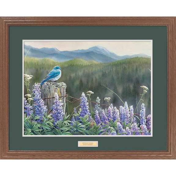 High Valley SummerBluebird