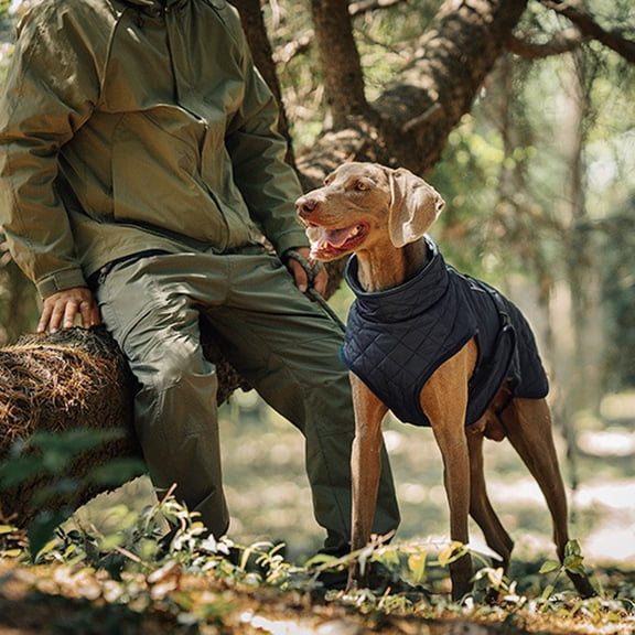 High Visibility Reflective Dog Coat Windproof Warm Winter Jacket With Adjustable Straps For Outdoor Adventures And Cold Weather