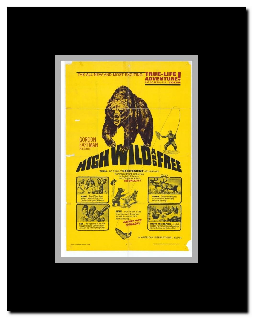 High Wild and Free Framed Movie Poster