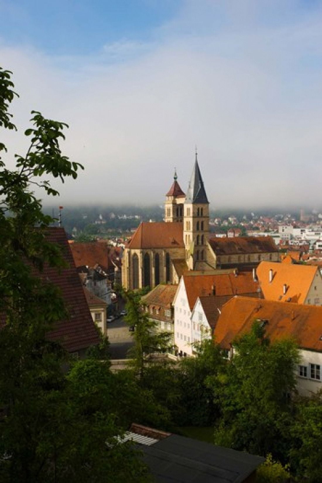 High angle view of a church in the city St Dionysius Church Esslingen-Am-Neckar Stuttgart Baden-Wurttemberg Germany Canvas Art - Panoramic Images (24 x 36)
