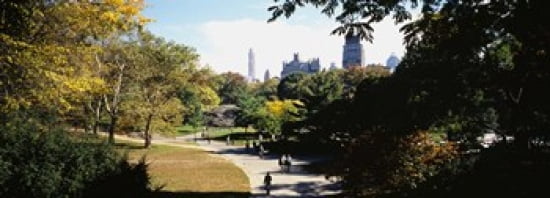 High angle view of a group of people walking in a park Central Park Manhattan New York City New York State USA Canvas Art - Panoramic Images (36 x 13)
