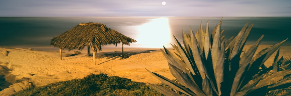 High angle view of Windansea Beach La Jolla San Diego California USA Canvas Art - Panoramic Images (36 x 12)