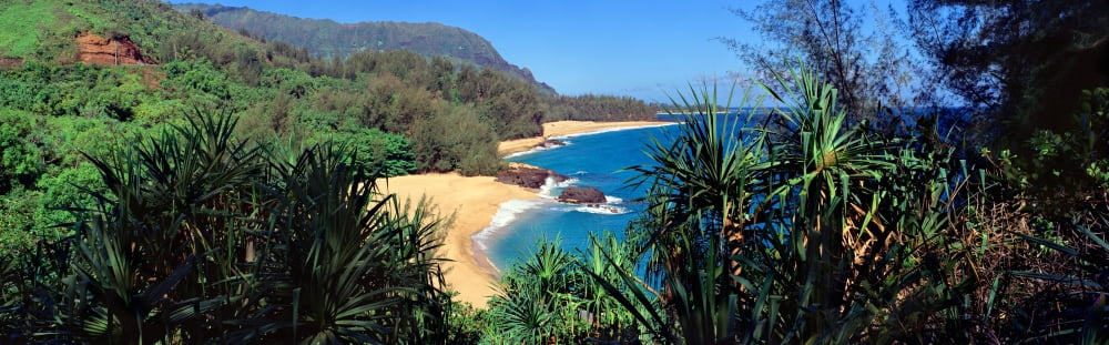 High angle view of a beach Lumahai Beach Kauai Hawaii USA Canvas Art - Panoramic Images (36 x 12)