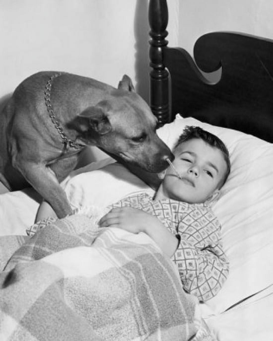 High angle view of a boy holding a thermometer in his mouth and a dog licking his cheek Canvas Art - (18 x 24)