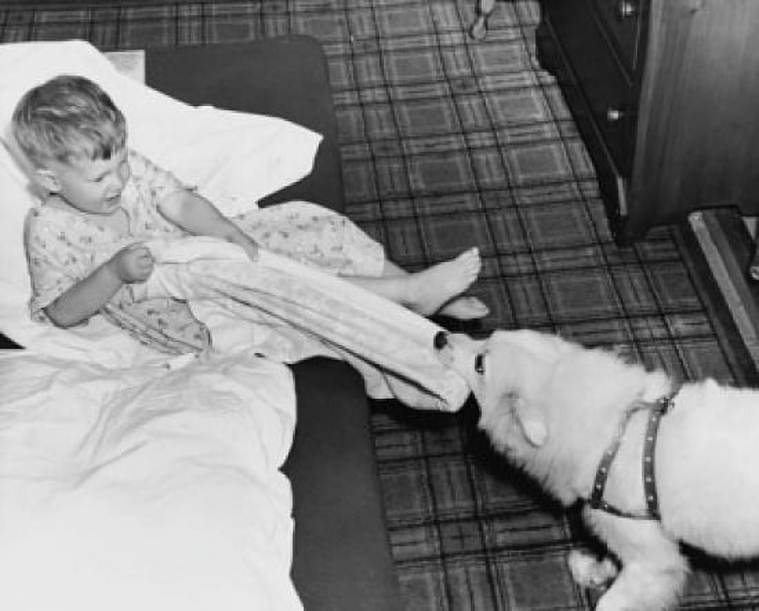 High angle view of a boy pulling a towel from his dog Canvas Art - (18 x 24)