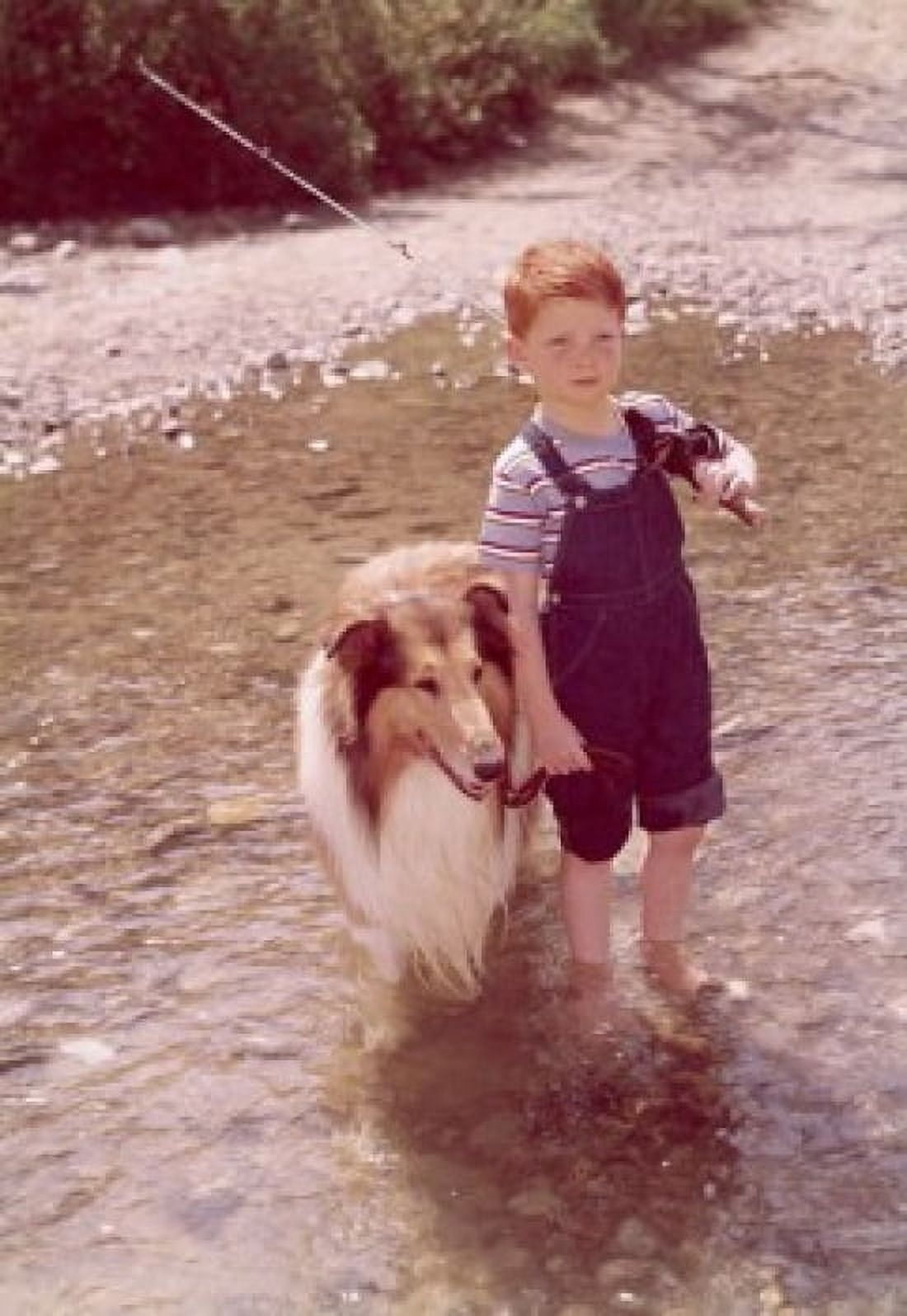 High angle view of a boy standing with his dog in a lake Canvas Art - (24 x 36)