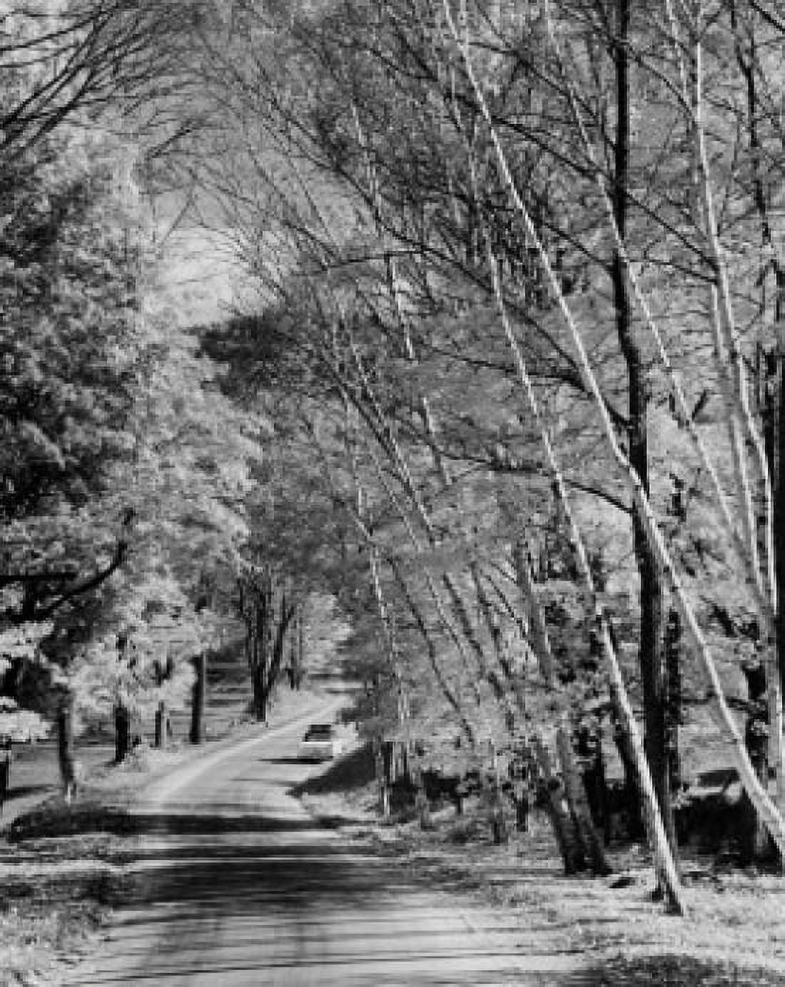 High angle view of a car moving on a road Jackson New Hampshire USA Canvas Art - (18 x 24)