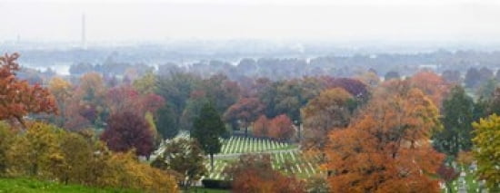 High angle view of a cemetery Arlington National Cemetery Washington DC USA Canvas Art - Panoramic Images (30 x 12)