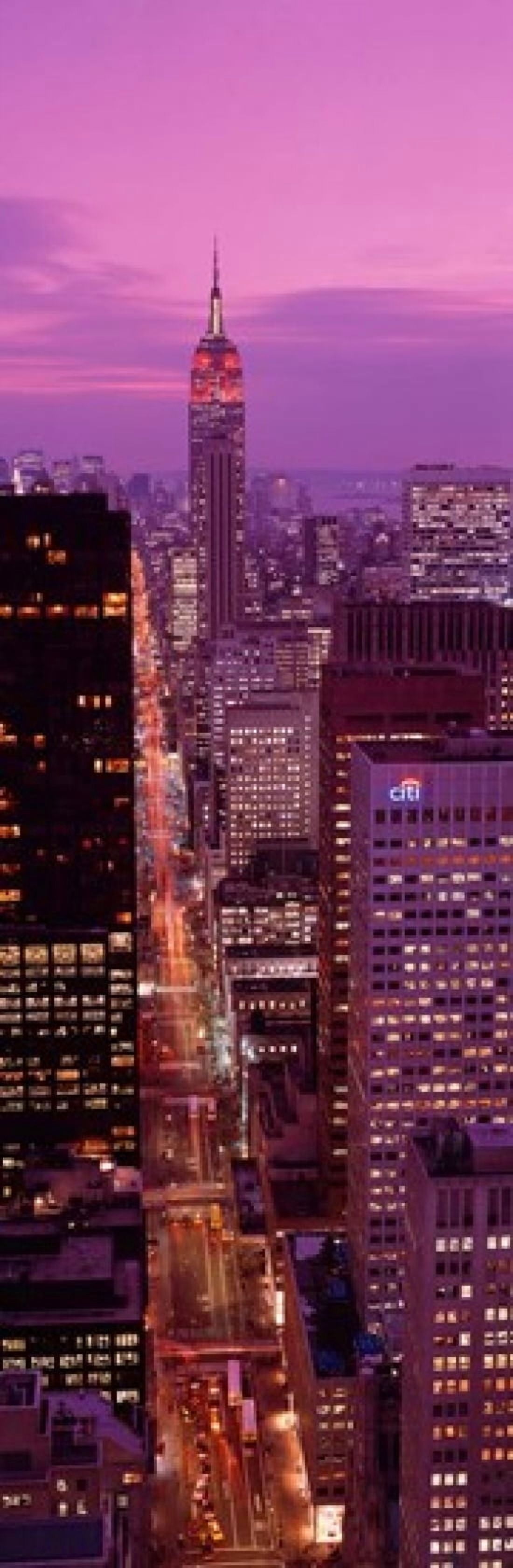 High angle view of a city Fifth Avenue Midtown Manhattan New York City New York State USA Canvas Art - Panoramic Images (36 x 12)