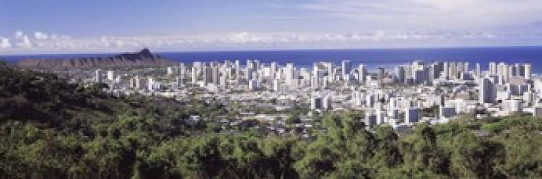 High angle view of a city Honolulu Oahu Honolulu County Hawaii USA 2010 Canvas Art - Panoramic Images (18 x 6)