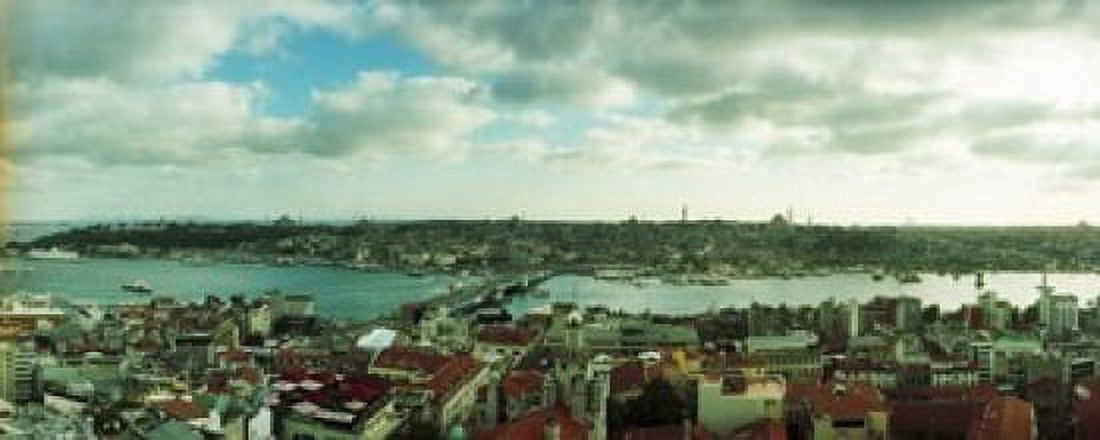 High angle view of a city Istanbul Turkey Canvas Art - Panoramic Images (15 x 6)
