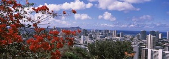 High angle view of a cityscape Honolulu Oahu Hawaii USA Canvas Art - Panoramic Images (36 x 13)