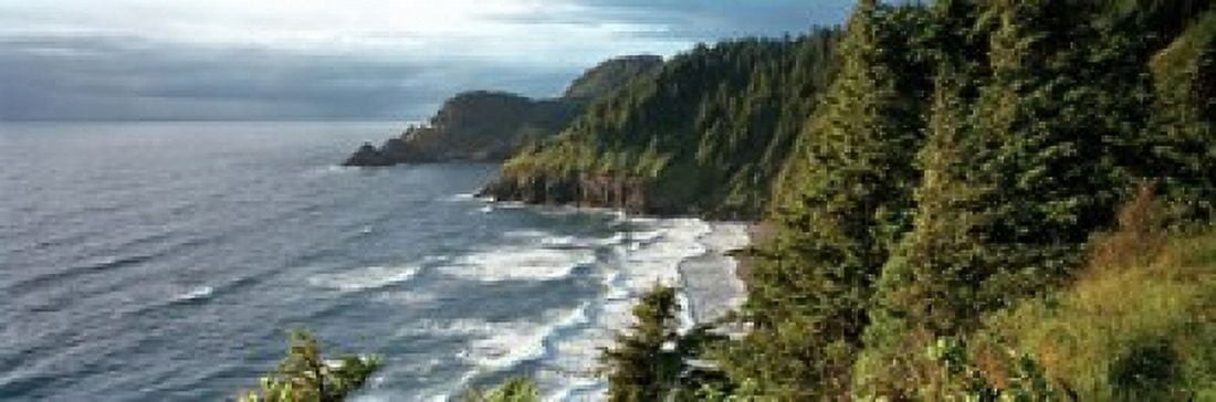High angle view of a coastline Heceta Head Lighthouse Oregon USA Canvas Art - Panoramic Images (18 x 6)